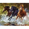 Diamond painting paarden rennen door het water