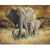 Diamond painting olifant met 2 kalfjes