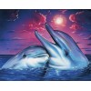 Diamond painting dolfijn