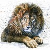 Diamond painting leeuw getekend