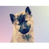 Diamond painting 3D hond shiba