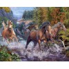 Diamond painting paarden rennen door het water in het bos