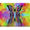 Diamond painting kleurrijke vlinder