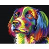 Diamond painting hond kleurrijk