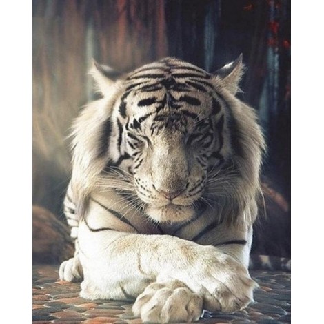 Diamond painting witte tijger rust