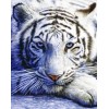 Diamond painting witte tijger braaf