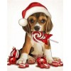 Diamond painting hond met kerstmuts en lolly