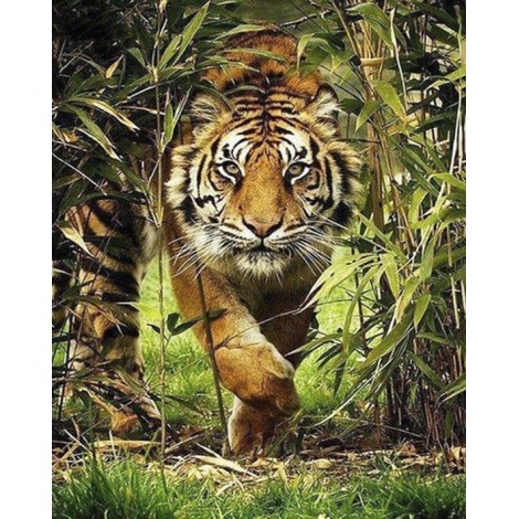 Diamond painting tijger in de jungle