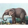 Diamond painting olifant getekend
