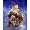 Diamond painting kerstman met dieren