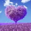 Diamond painting paarse liefdesboom