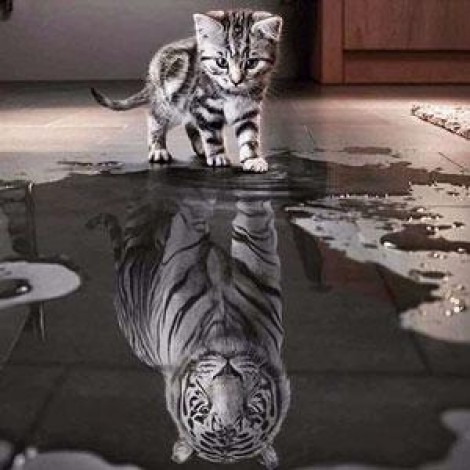 Diamond painting kat in spiegelbeeld tijger