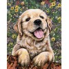 Diamond painting hond labrador