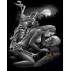Diamond painting Halloween meisje en skelet