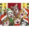 Diamond painting katten met kerstmuts