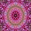 Diamond painting mandala roze