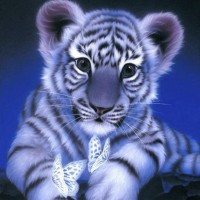 Diamond painting tijger e...